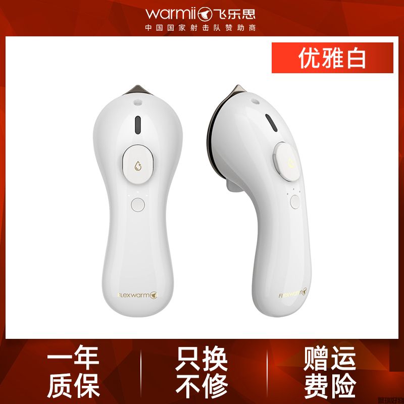 飞乐思手持无线挂烫机-豪华版