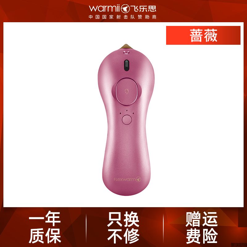 飞乐思手持无线挂烫机-精致版