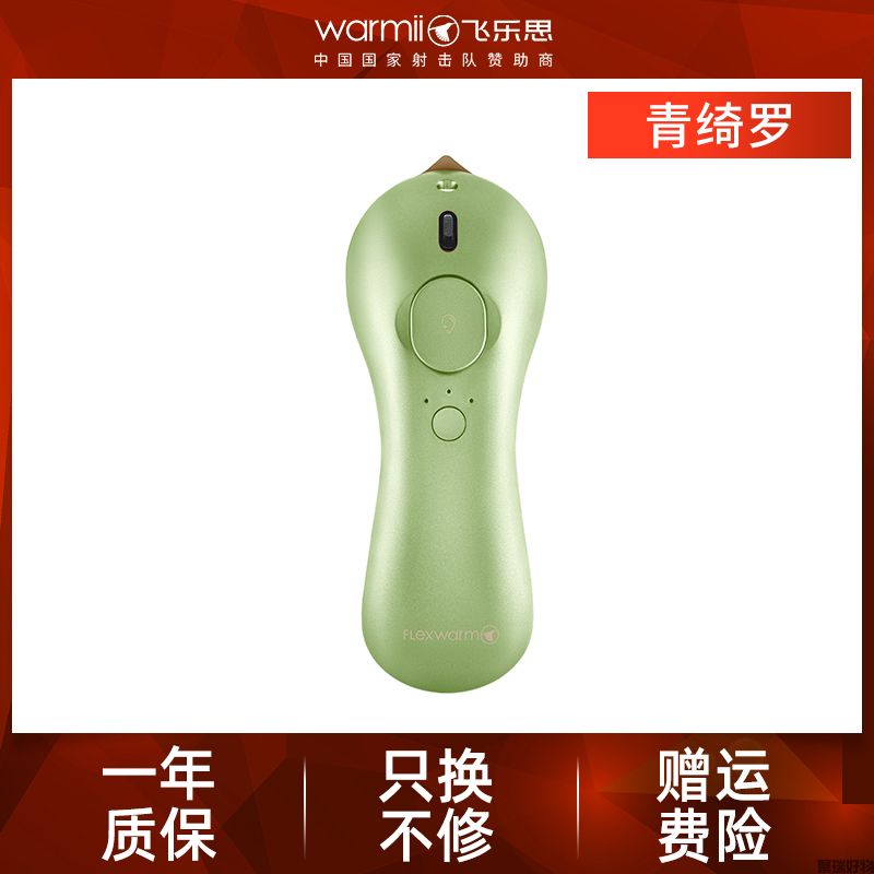 飞乐思手持无线挂烫机-精致版